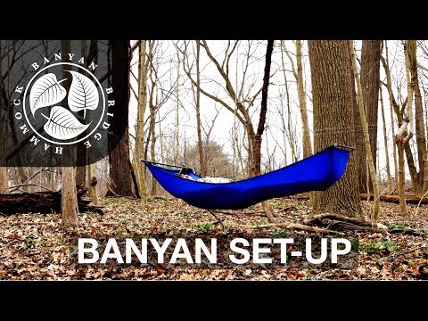 Banyan Bridge Hammock Set-up