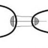 Clip Hook (Single)-3909
