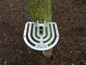 2QZQ Tree Table -0
