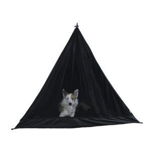 tent with dog