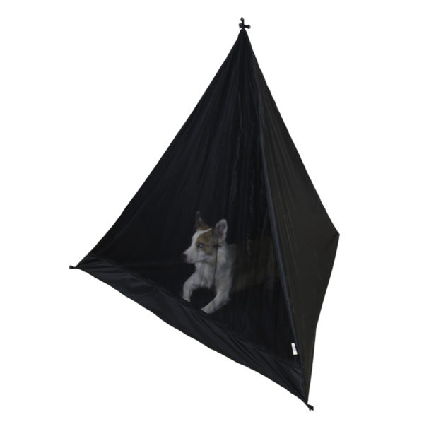 tent with dog inside