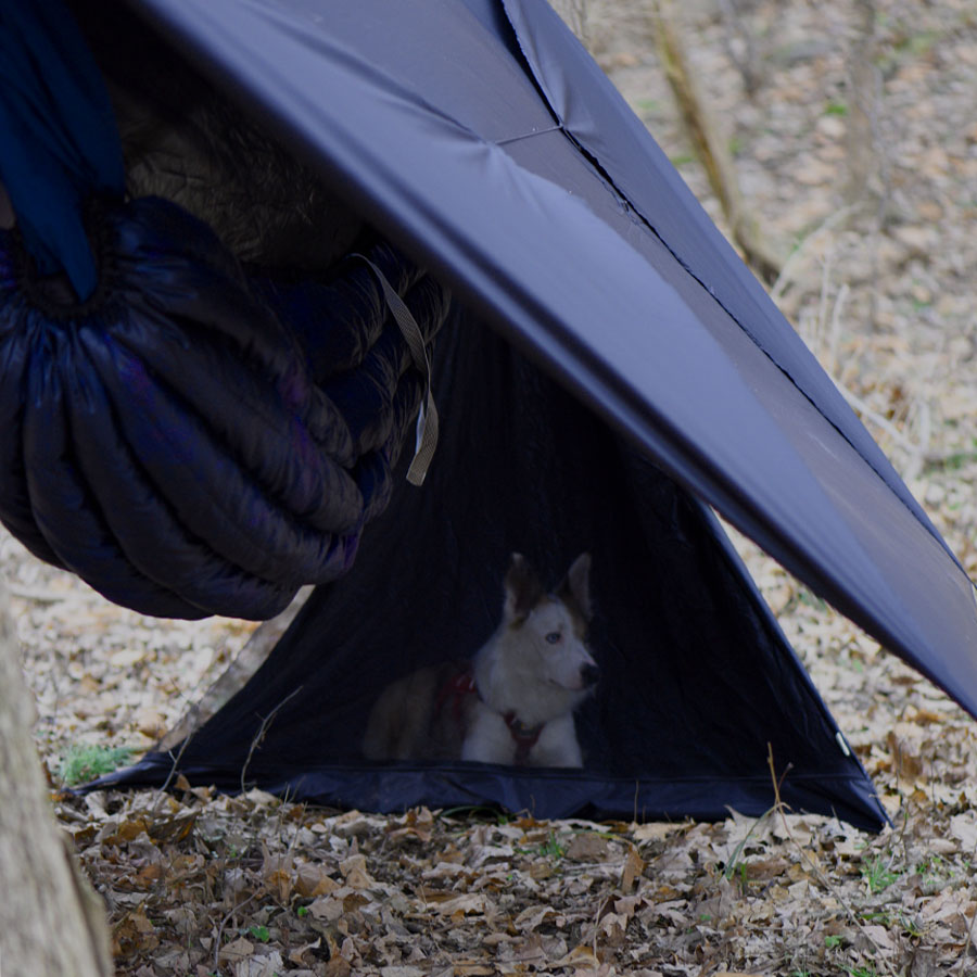 Tent with shop dog area