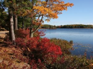 scenic view in acadia national park