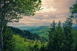 mountain view in great smoky mountains national park