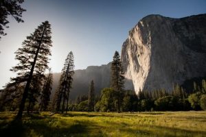 Yosemite State Park