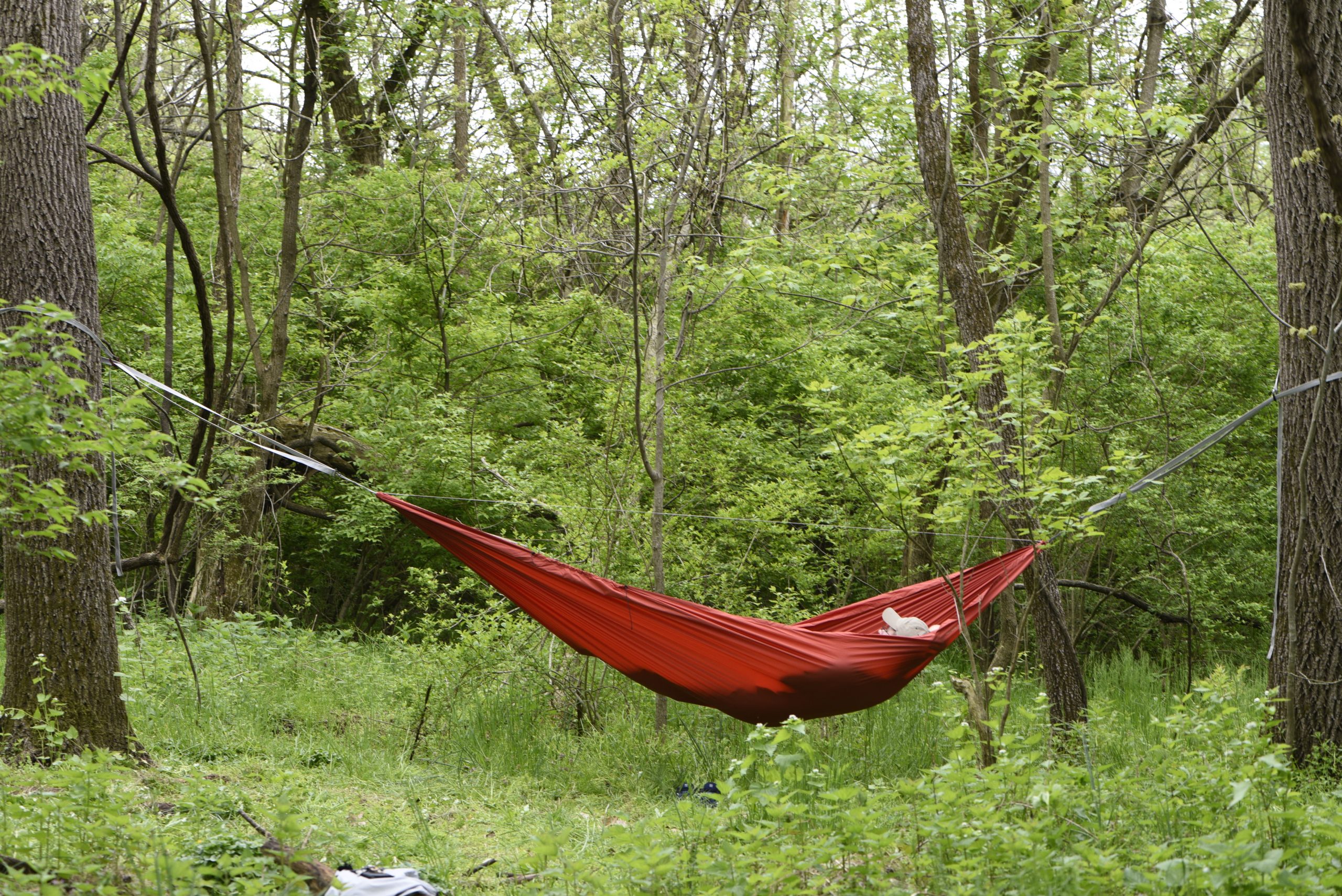 hammock camper in the woods