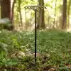 2QZQ Tree Table - Image 9